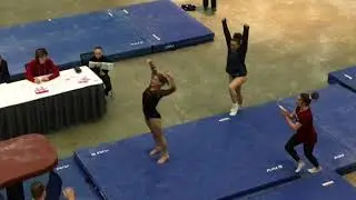 Jaylene Everett Temple University 2018 NCAA Little Boston Invitational - Vault 9.825