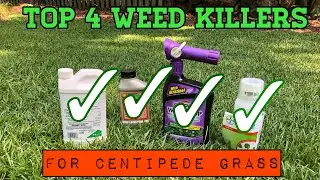 Top 4 Best Weed Killers for Centipede Lawn!