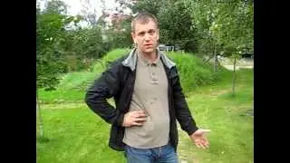 Газон и уход за ним