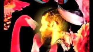 Archie Bronson Outfit - Bite It & Believe It (Official Video)