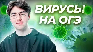Все о вирусах для ОГЭ | Биология ОГЭ | Умскул