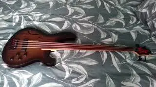 Cort B4 fretless MPHZ