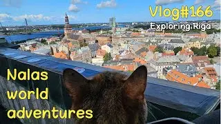 NALA and DEAN exploring RIGA 😻 Vlog #166
