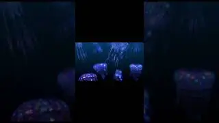 Jelly Fish Showreel 2023 | We are Unlimited