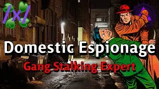 Domestic Espionage: Gang Stalking Expert | 4chan /x/ Scary Greentext Stories