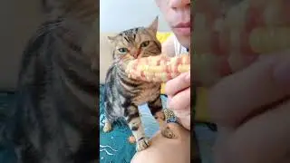 когда жена на диете а ты нет