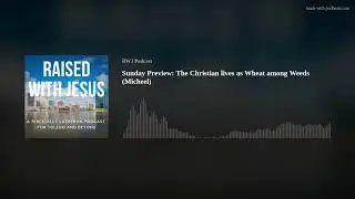 Sunday Preview: The Christian lives as Wheat among Weeds (Micheel)