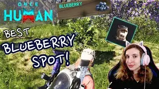 Best place to farm Blueberry in Once Human | Once Human #miss_rofl #oncehuman