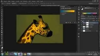 Tutorial Photoshop CS6 - Mesclagem de Animais