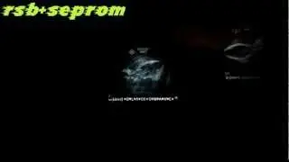 Darkorbit - DMG Test with Seprom II.