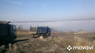 Ёжики в тумане