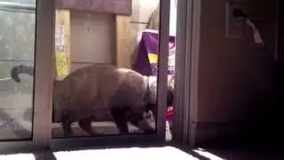 Breaking and Entering