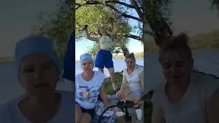 Черная смородина