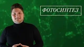 ЕСТЕСТВОЗНАНИЕ 5 КЛАСС  ФОТОСИНТЕЗ
