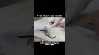 Would you eat squid sashimi? 🦑🤷🏽‍♂️