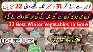 Winter 22 Vegetables List To Grow From November To Last Week Of December At Home Garden | Gardening