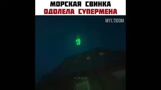 слишком коварная😬 #shorts #новинки2022 #суперпитомцы