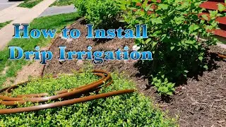 How to Install Drip Irrigation System