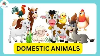DOMESTIC ANIMALS NAME | DOMESTIC ANIMALS VIDEO | DOMESTIC ANIMALS FOR KIDS