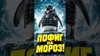 Пингвин: Безумный отморозок, который выживает в -60!