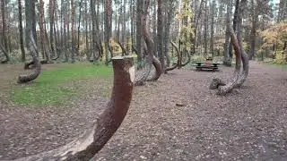 Парк
