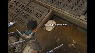 ARC Raiders Mushrooms Locations at Dam Battlegrounds