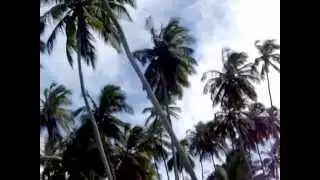 Porto de Galinhas