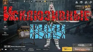 Как сделать длинные ники ! Эксклюзивные ники! в Last Island of Survival: Unknown 15 Days