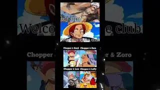 one piece memes