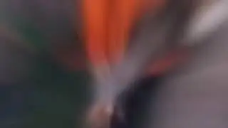 واحد واحد واحد