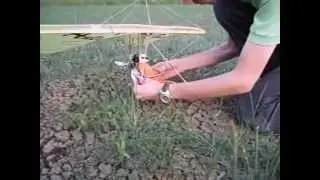 DELTAPLANO A MOTORE-MICROLIGHT DELTA TRIKE-DELTAPLANE A MOTEUR-Hängensegelflugzeug- RC!!!