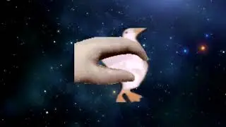 как погладить гуся