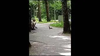 Москва. парк Рассказовка
