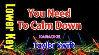Taylor Swift - You Need To Calm Down Karaoke Lower Key HD