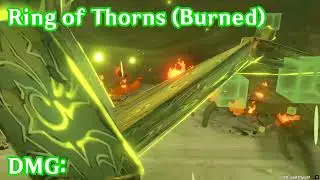 Dendro Hypostasis - All Attacks and Animations (Genshin Impact)