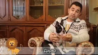 11. ПРИЈАТЕЛИ - Бостонски териер, ветеринар - (глисти)