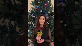 Янина Соколовская поздравляет с Новым годом