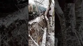Сусанин мать его . 🔞
