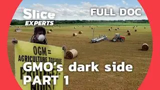 Lies and truth about GMOs | SLICE EXPERTS | PART 1