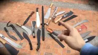 CAP 293 PRESENTACIÓN DE LAS CATEGORÍAS DE LA PRUEBA DE MACHETES