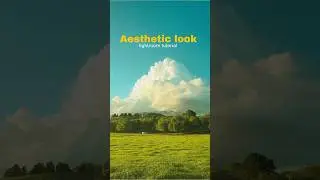 Aesthetic edit for nature photography lightroom preset 