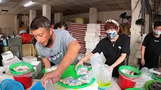 Taiwan Seafood Auction-BIG milk fish