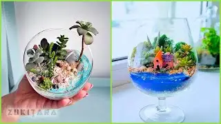 Растения в рюмке.Флолариум.