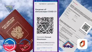 Сертификат для вакцинированных с QR кодом через Госуслуги