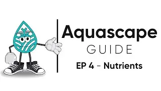 Aquascape Guide - Providing Nutrients in a Planted Aquarium / EP 4 - Nutrients