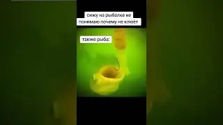 #мем #shorts