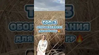 Топ-3 оборудования для нейроигр, продолжение читайте в моем тг-канале, ссылка в шапке профиля