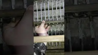 Электровеник