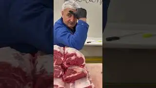 Dana antirikot mermer