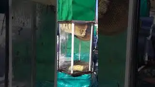 Зимовка пчел. Добрая пасека.